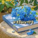 X.@?静若幽兰